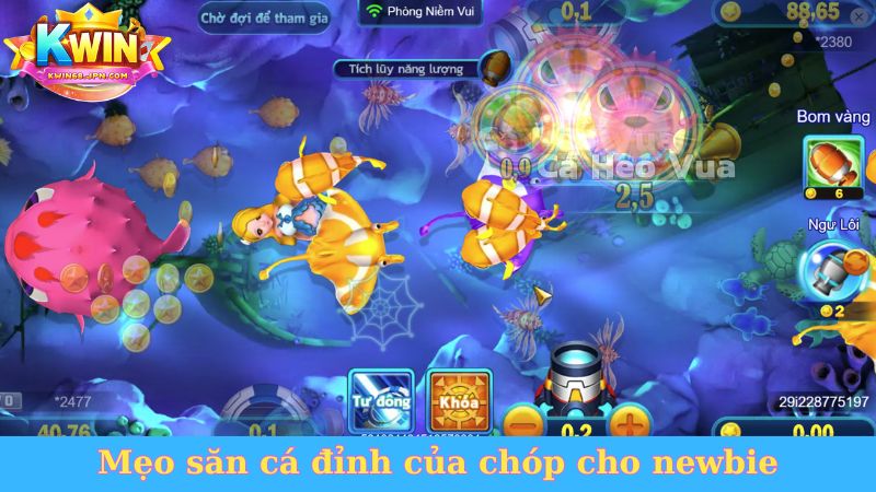 Mẹo săn cá đỉnh của chóp cho newbie