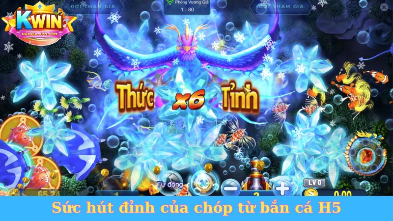 Sức hút đỉnh của chóp từ bắn cá H5